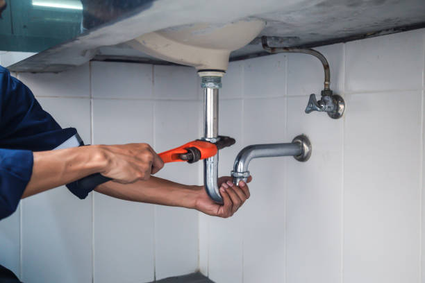 Best Local Plumber Services  in Lemon Grove, CA